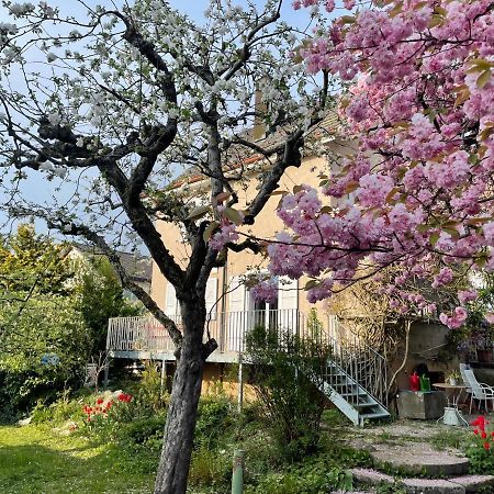 Au Jardin Bed & Breakfast Zuchwil Exterior photo