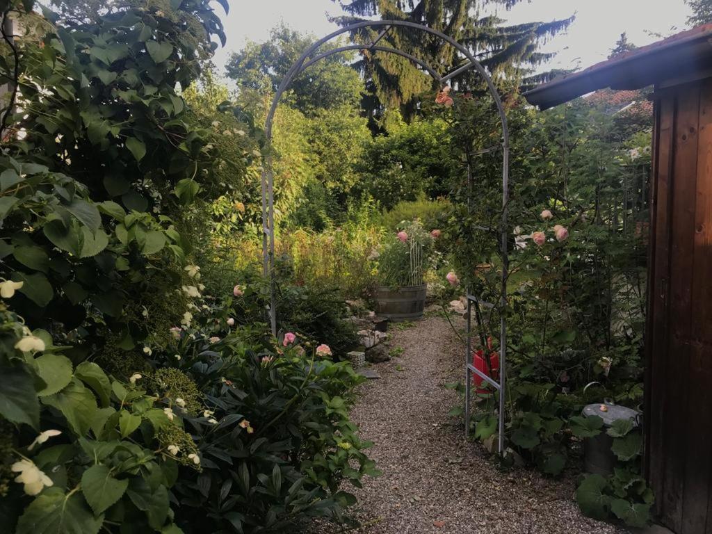 Au Jardin Bed & Breakfast Zuchwil Exterior photo