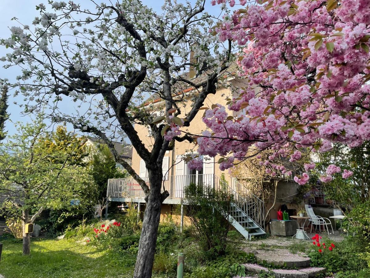 Au Jardin Bed & Breakfast Zuchwil Exterior photo