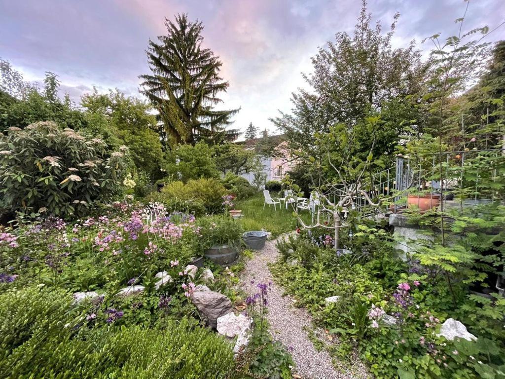 Au Jardin Bed & Breakfast Zuchwil Exterior photo