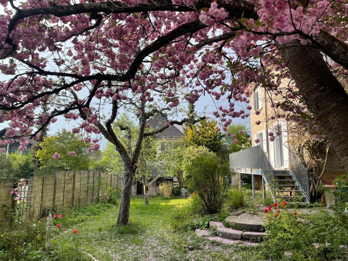 Au Jardin Bed & Breakfast Zuchwil Exterior photo