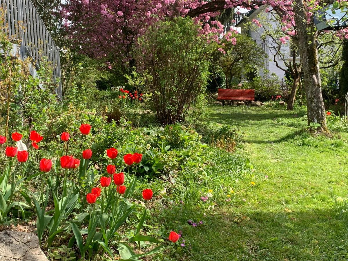 Au Jardin Bed & Breakfast Zuchwil Exterior photo