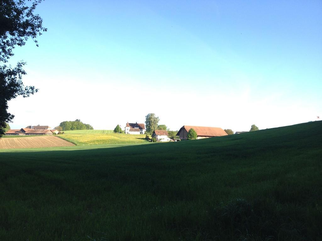 Au Jardin Bed & Breakfast Zuchwil Exterior photo